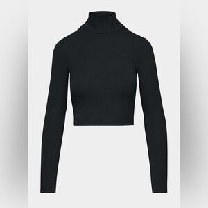 Aritzia Wilfred only turtleneck (waist)
